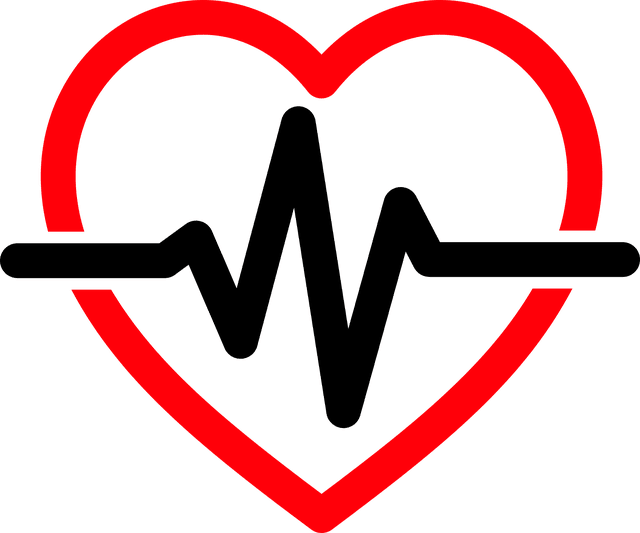 Defibrillator